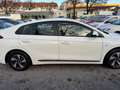 Hyundai IONIQ Ioniq Trend Benzin Hybrid Aut Kamera Weiß - thumbnail 6