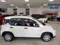Fiat Panda Panda 1.0 FireFly S&S Hybrid Bianco - thumbnail 8
