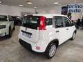 Fiat Panda Panda 1.0 FireFly S&S Hybrid Bianco - thumbnail 3