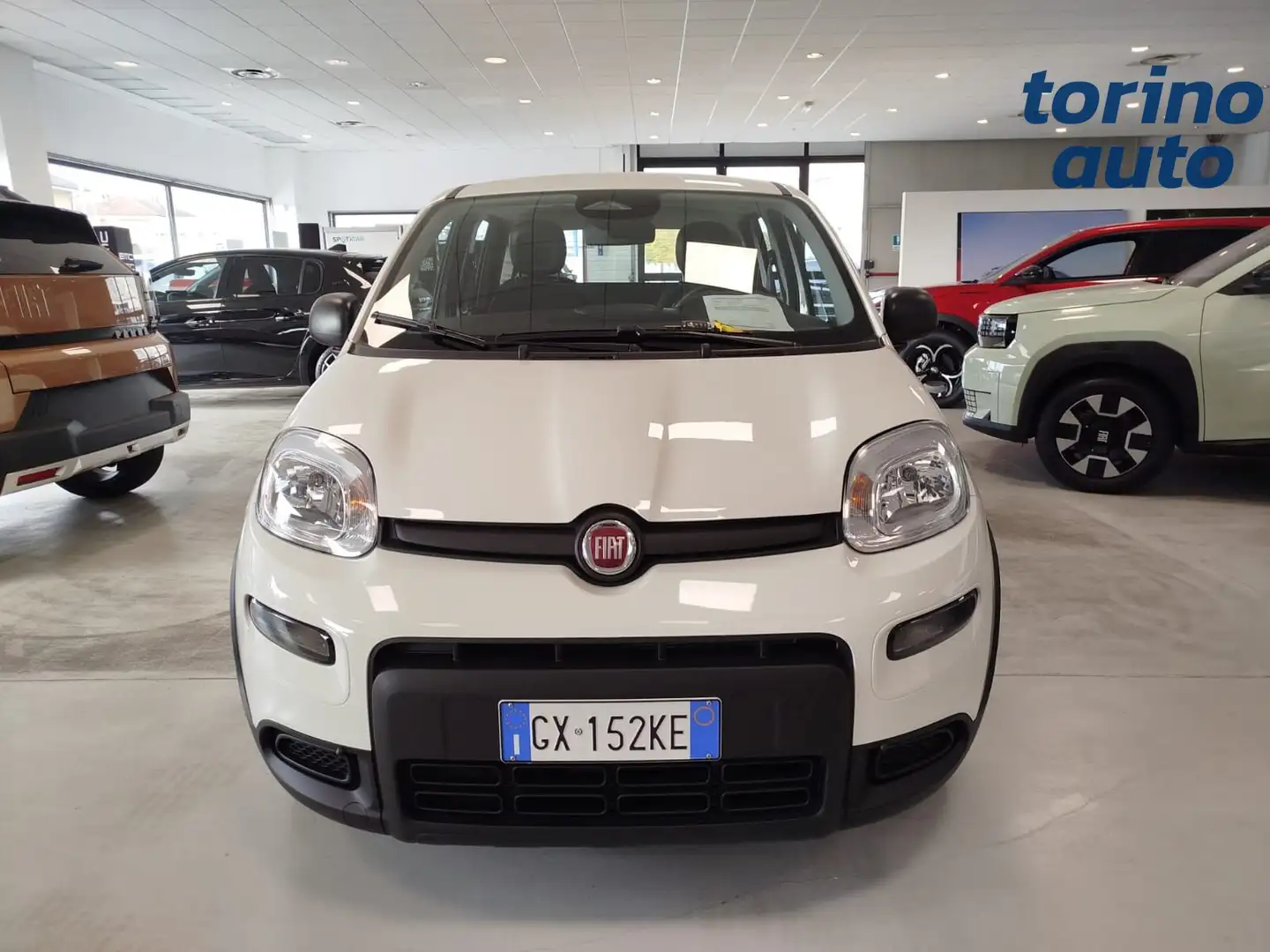 Fiat Panda Panda 1.0 FireFly S&S Hybrid Bianco - 2