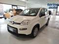Fiat Panda Panda 1.0 FireFly S&S Hybrid Bianco - thumbnail 4