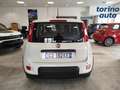 Fiat Panda Panda 1.0 FireFly S&S Hybrid Bianco - thumbnail 7
