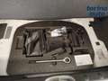 Fiat Panda Panda 1.0 FireFly S&S Hybrid Bianco - thumbnail 10