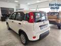 Fiat Panda Panda 1.0 FireFly S&S Hybrid Bianco - thumbnail 6