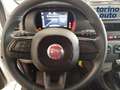 Fiat Panda Panda 1.0 FireFly S&S Hybrid Bianco - thumbnail 14