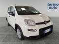 Fiat Panda Panda 1.0 FireFly S&S Hybrid Bianco - thumbnail 1