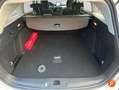 Ford Focus 1.5 Ecoblue Active Style SIP 120 Blanc - thumbnail 15
