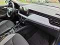 Skoda Kamiq Tour 1.0 TSI 81 kW DSG/PDC/RFK/EHK/BFS/ACC Bleu - thumbnail 21