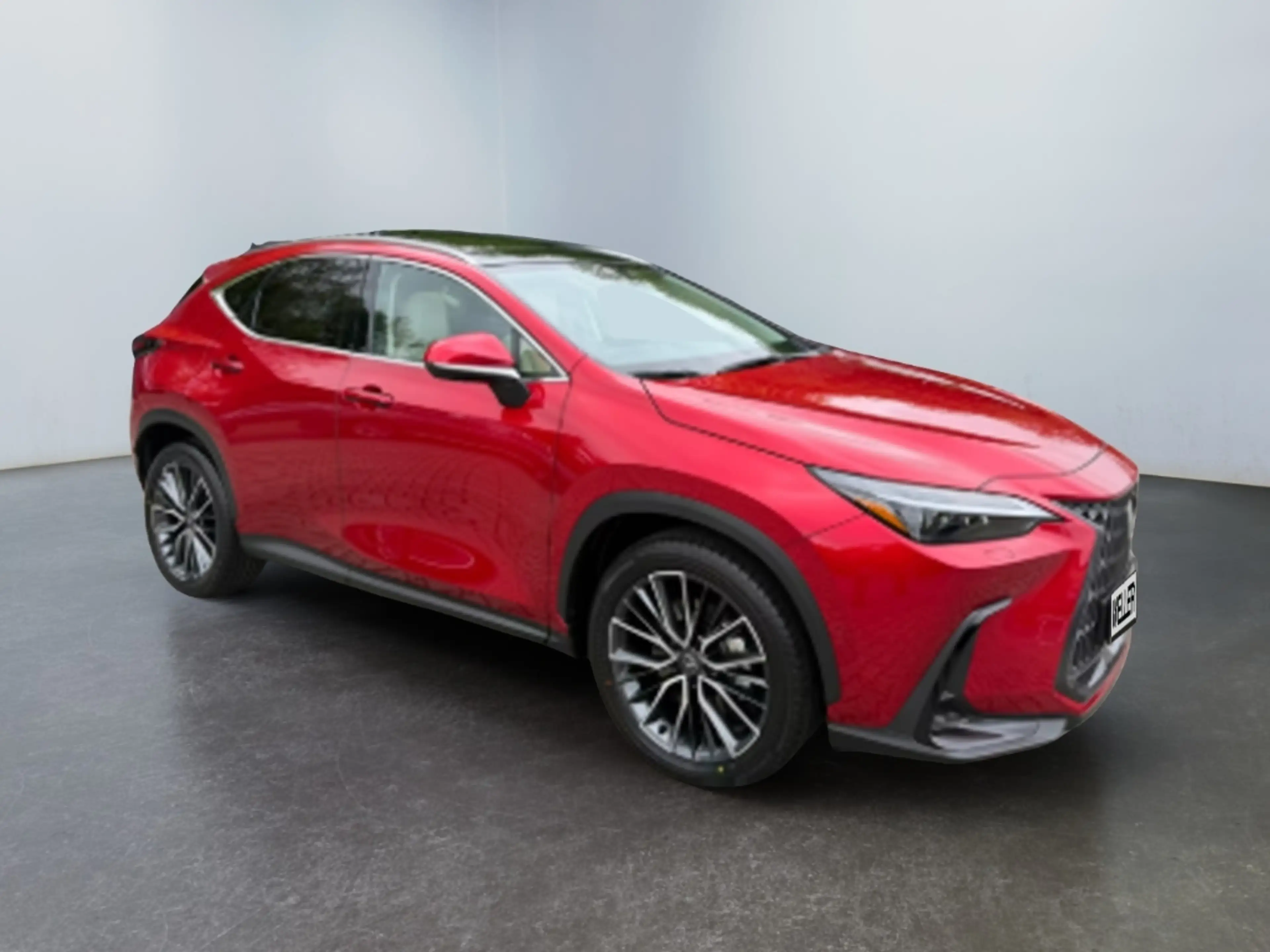 Lexus NX 450h+ Luxury Line — photo 8
