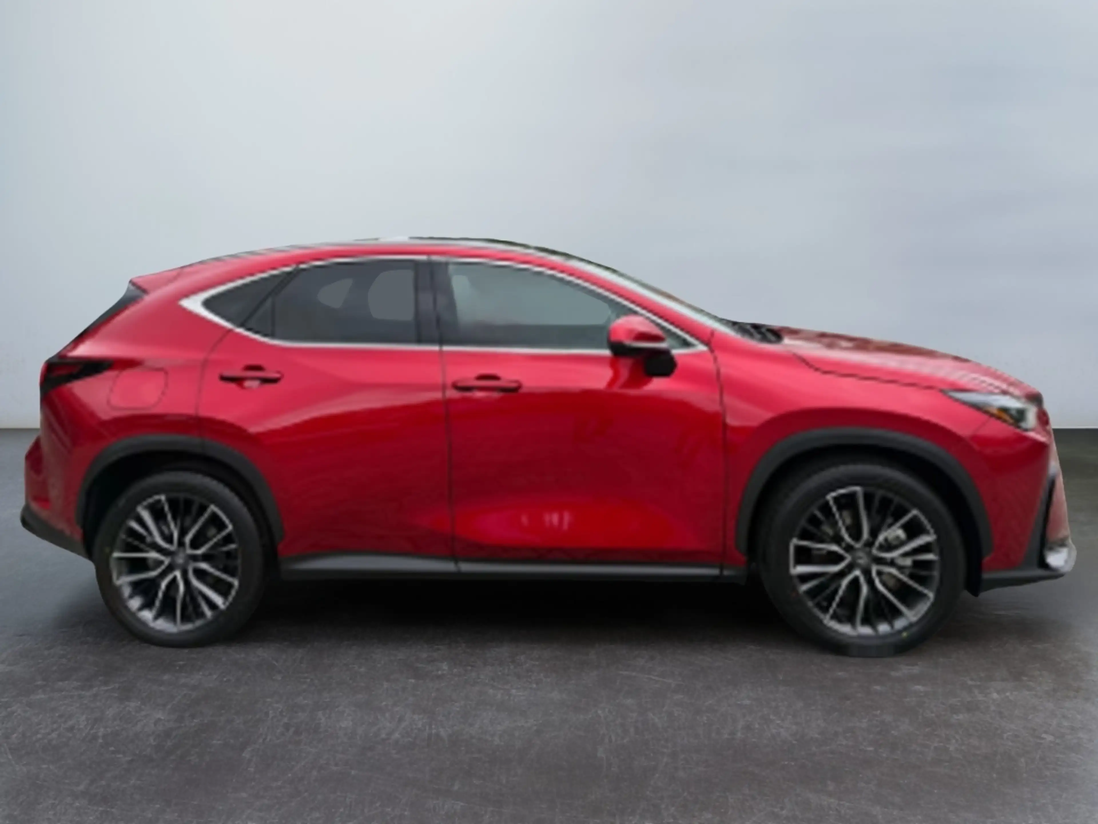 Lexus NX 450h+ Luxury Line — photo 9