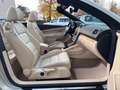 Volkswagen Eos 2.0 TDI Sport & Style BMT*Temp*SHZ*S-Heft Gold - thumbnail 11