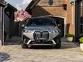 BMW iX iX xDrive40/ Trekhaak / Sky Lounge / Head-Up / H/K Gris - thumbnail 3