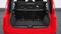 Fiat Panda City Life Hybrid 1.0 Gse 51kw (70CV) Rojo - thumbnail 23