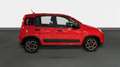 Fiat Panda City Life Hybrid 1.0 Gse 51kw (70CV) Rojo - thumbnail 6