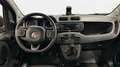 Fiat Panda City Life Hybrid 1.0 Gse 51kw (70CV) Rojo - thumbnail 9
