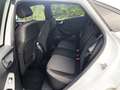 Ford Puma 1.0 EcoBoost Hybrid ST-LINE DESIGN Klimaautom. Win Weiß - thumbnail 12
