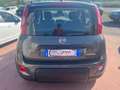Fiat Panda 1.0 firefly hybrid City Life s&s 70cv 5p.ti Grigio - thumbnail 5