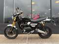 Triumph Scrambler - thumbnail 3