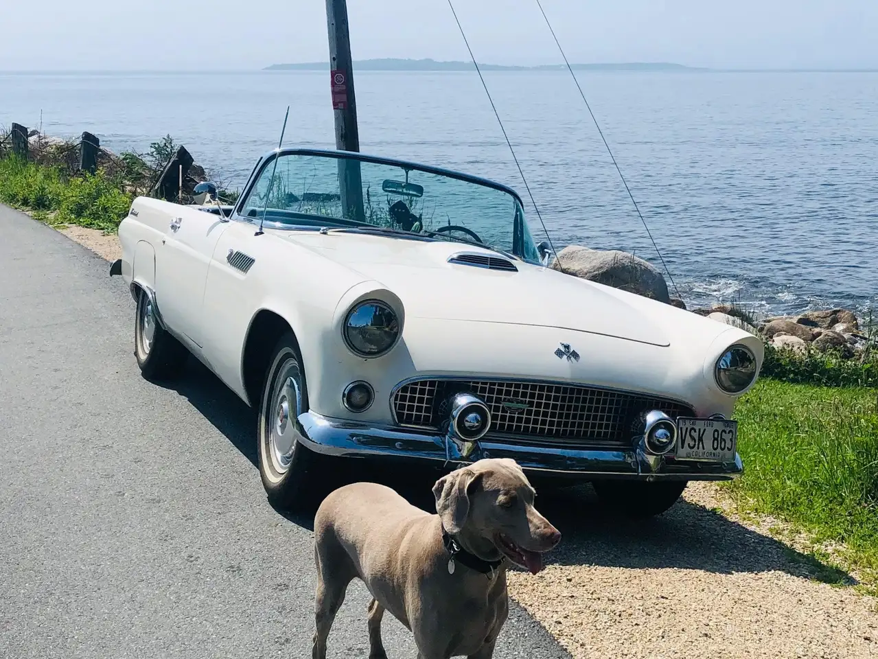 Ford Thunderbird снимка Ford Thunderbird