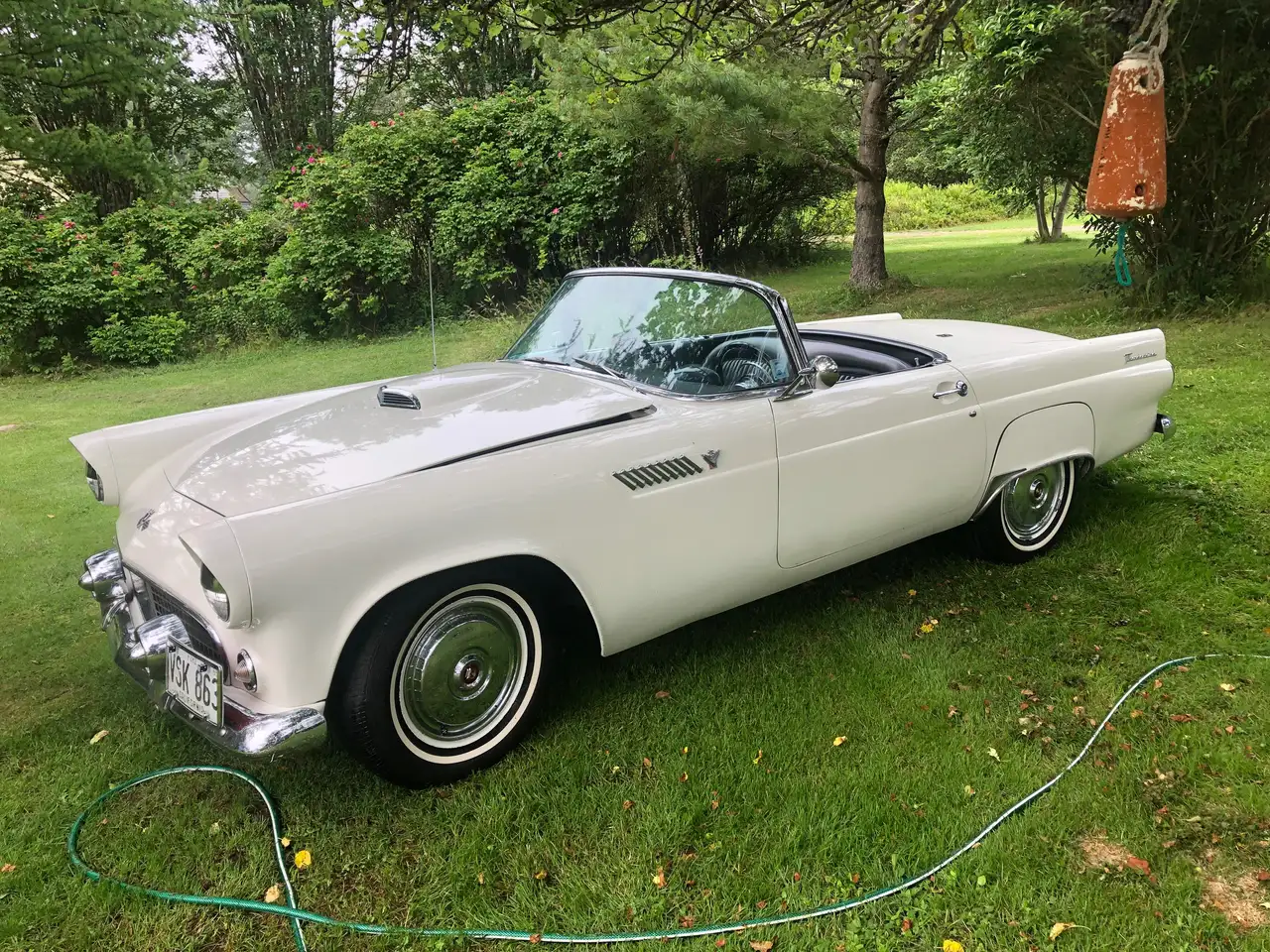 Ford Thunderbird снимка Ford Thunderbird