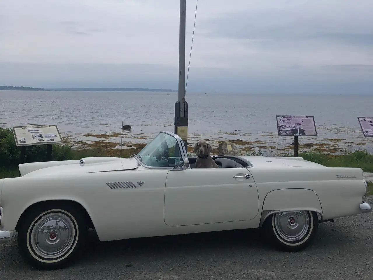 Ford Thunderbird снимка Ford Thunderbird