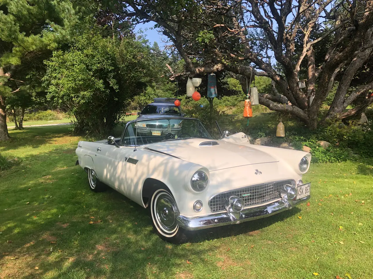 Ford Thunderbird снимка Ford Thunderbird