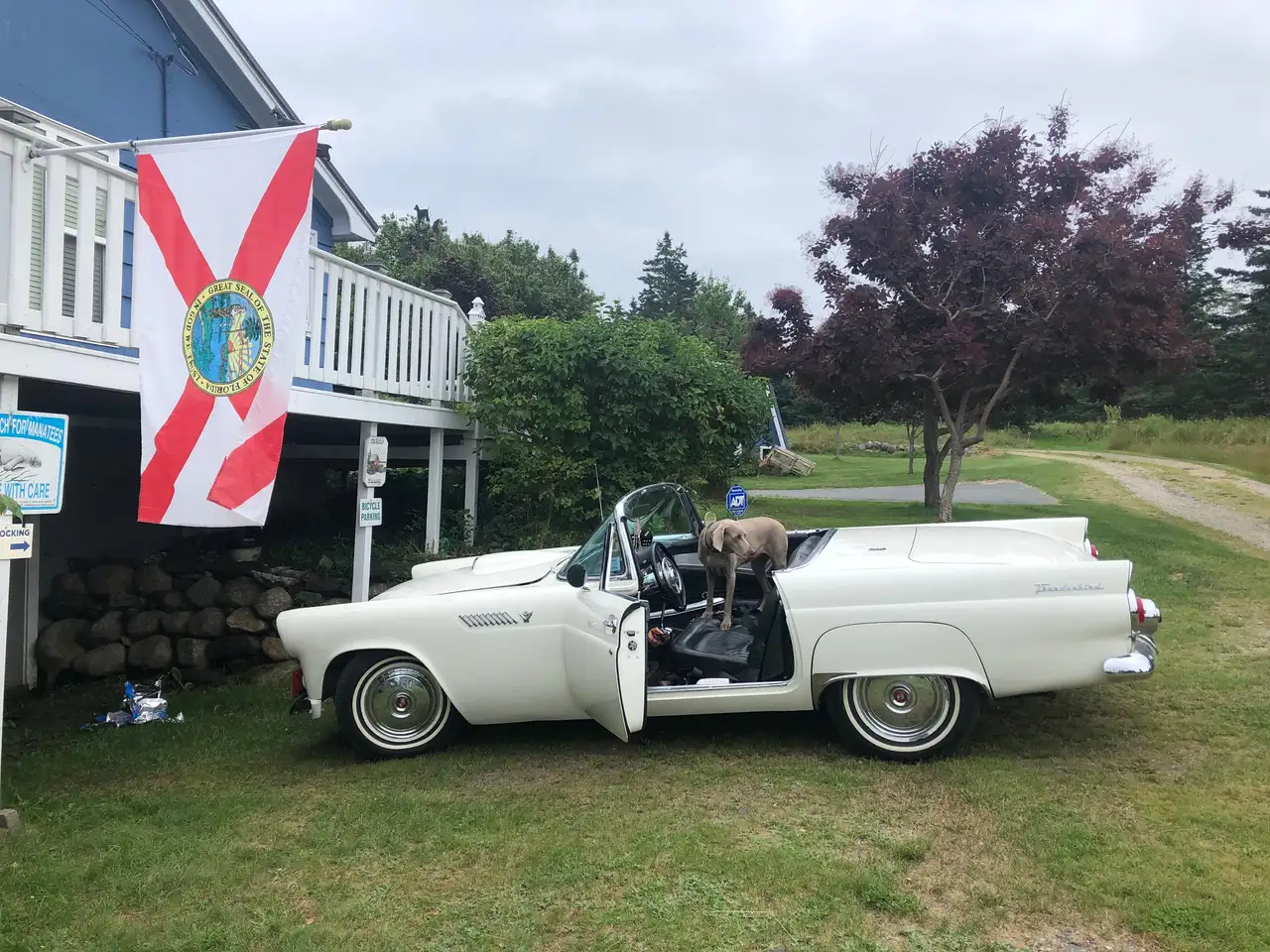 Ford Thunderbird снимка Ford Thunderbird