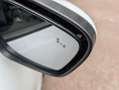 Ford Kuga 2.5 PHEV Vignale 225pk | Panoramadak | Head - Up D White - thumbnail 11