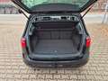 Volkswagen Golf Sportsvan Allstar,Standhzg,Lenkradhz,Bi Xen Schwarz - thumbnail 13