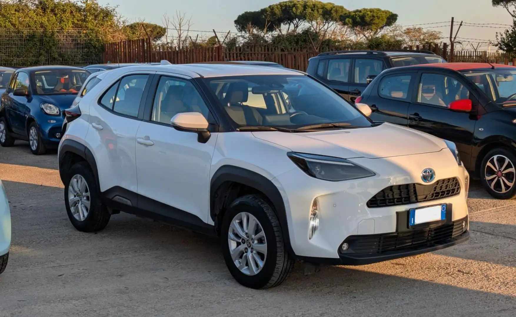 Toyota Yaris Cross BUSINESS HYBRID 1.5cc 116cv FRENATA ATTIVA TELECAM Blanc - 2