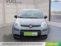 Fiat Panda 4x2 FireFly Hybrid 70 Grau - thumbnail 6