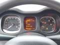 Fiat Panda 4x2 FireFly Hybrid 70 Grau - thumbnail 14
