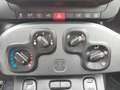 Fiat Panda 4x2 FireFly Hybrid 70 Grau - thumbnail 15