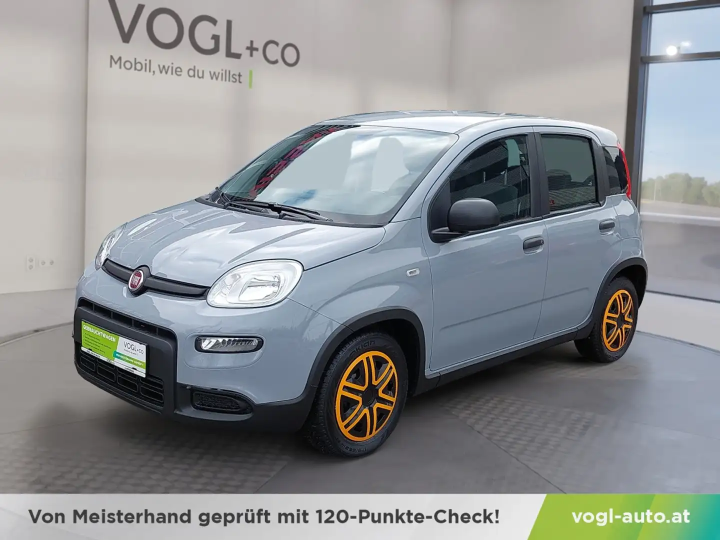 Fiat Panda 4x2 FireFly Hybrid 70 Grau - 1