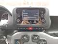 Fiat Panda 4x2 FireFly Hybrid 70 Grau - thumbnail 9