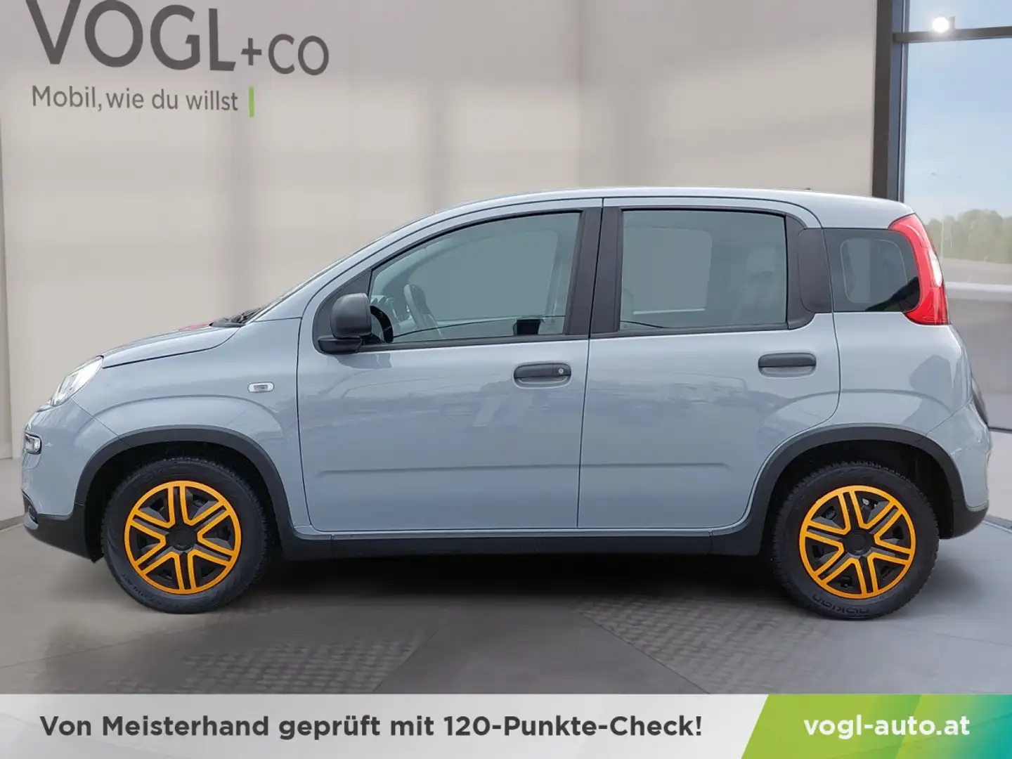 Fiat Panda 4x2 FireFly Hybrid 70 Grau - 2