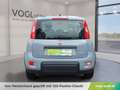 Fiat Panda 4x2 FireFly Hybrid 70 Grau - thumbnail 7