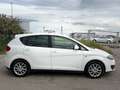 SEAT Altea Chili-Copa 1,6 CR TDI Weiß - thumbnail 4