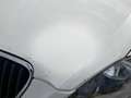 SEAT Altea Chili-Copa 1,6 CR TDI Weiß - thumbnail 24