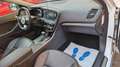 Kia Optima Spirit Hybrid Panorama, SHZ, Kamera Weiß - thumbnail 13