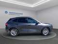 Ford Kuga St Line X PHEV Grau - thumbnail 4