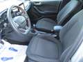 Ford Fiesta 1.0 Ecoboost Hybrid 125 CV 5 porte ST-Line Zilver - thumbnail 8