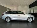 Skoda Octavia 2.0 TDI EVO SCR 150CV Wagon Executive Argento - thumbnail 4