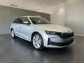 Skoda Octavia 2.0 TDI EVO SCR 150CV Wagon Executive Argento - thumbnail 2