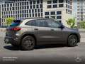 Mercedes-Benz EQA 250 AMG+NIGHT+ADVANCED+AHK+KAMERA+SPUR Gris - thumbnail 21