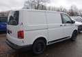 Volkswagen VW T6.1 Kasten 2x Schiebetür Standheizung AHK Blanco - thumbnail 2
