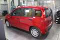 Fiat Panda 1.0 FireFly  Hybrid Icon Grau - thumbnail 5