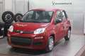 Fiat Panda 1.0 FireFly  Hybrid Icon Grau - thumbnail 3
