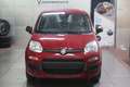Fiat Panda 1.0 FireFly  Hybrid Icon Grau - thumbnail 2