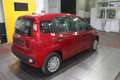 Fiat Panda 1.0 FireFly  Hybrid Icon Grau - thumbnail 6